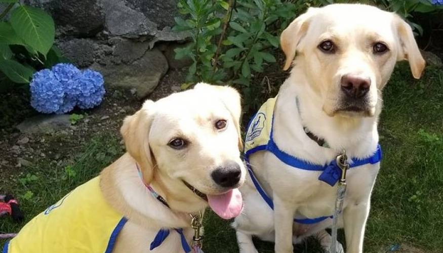 Lucey (front) and Brinley prepare for a lifetime of service.