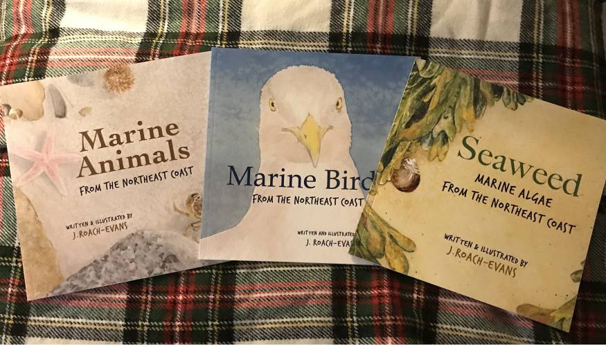 Professor Joanne Evans authored and illustrated three children's books.