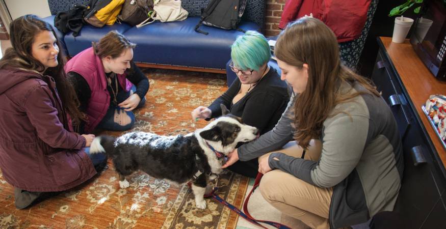 Students pet dog at PAWS for People