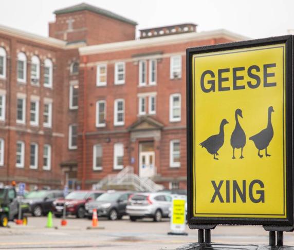 QCC's new Geese Crossing Signage