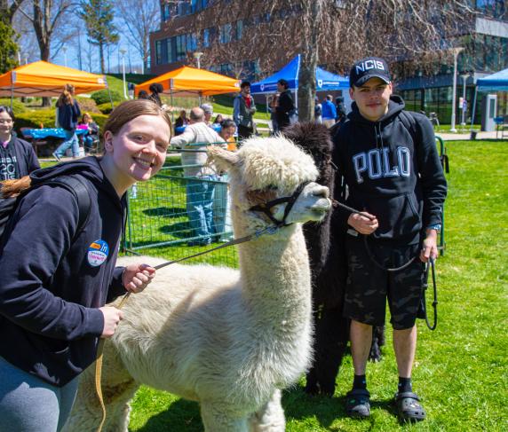 The alpacas are a crowd favorite at Fresh Check Day.