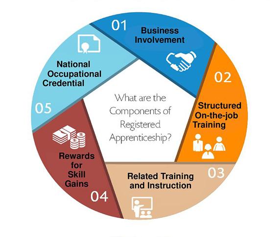 Apprenticeship Components