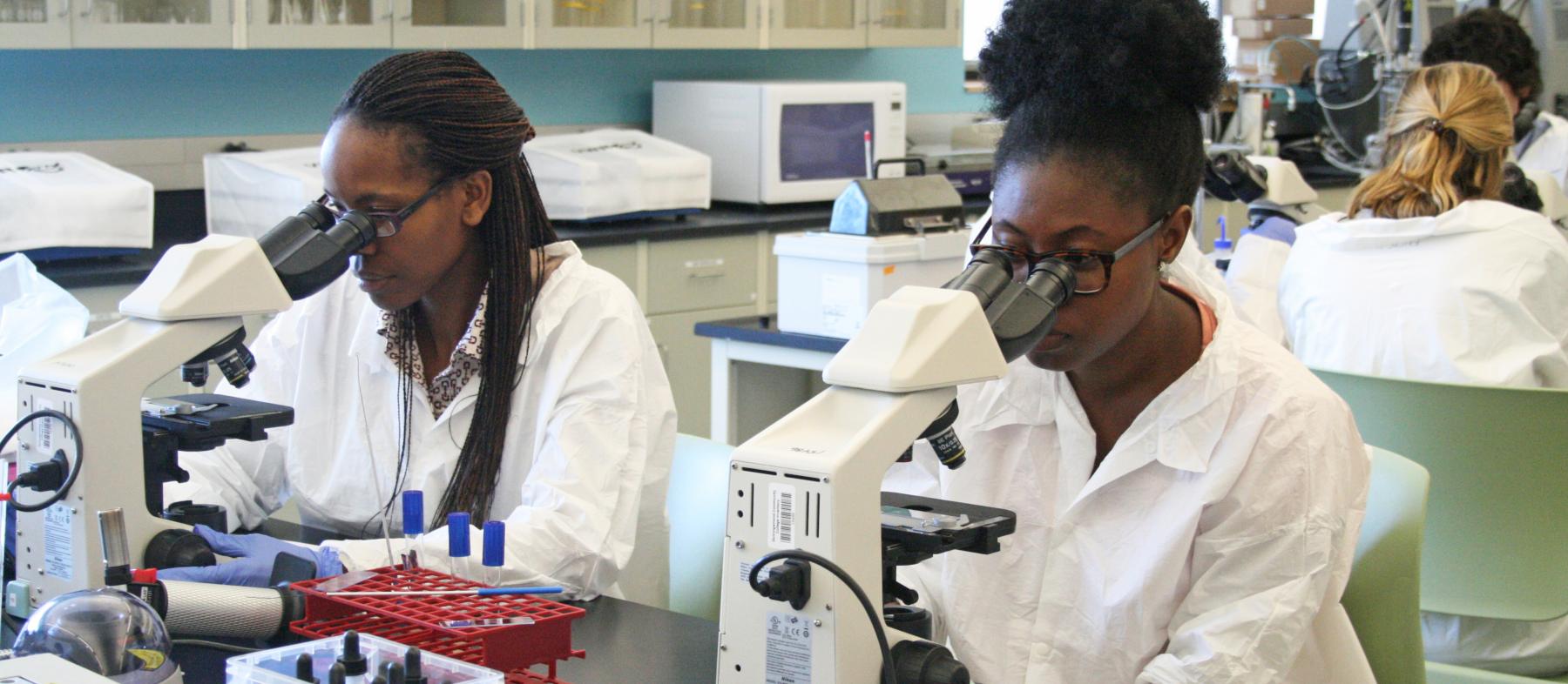 QCC students in a biology classroom use microscopes