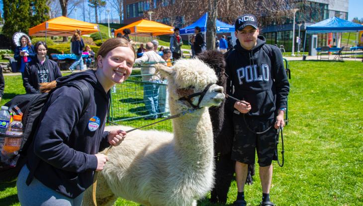 The alpacas are a crowd favorite at Fresh Check Day.