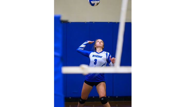 Cheer on the Wyverns at a volleyball, baseball, or soccer game!