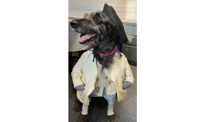 This good boy was less tricks and more treat This good boy was less tricks and more treat