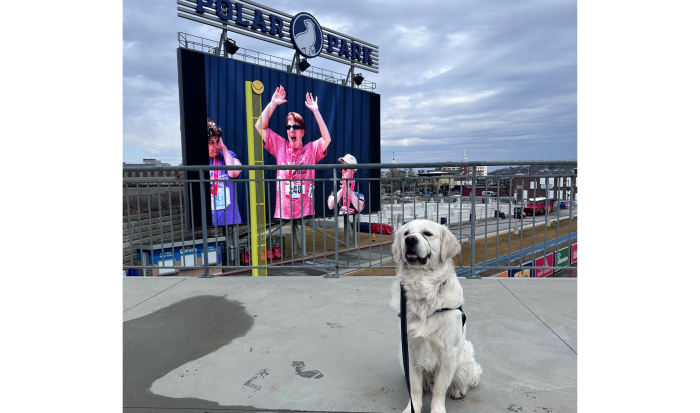 Siggy cheered on Office Yacuzzi at this year's Polar Plunge Siggy cheered on Office Yacuzzi at this year's Polar Plunge