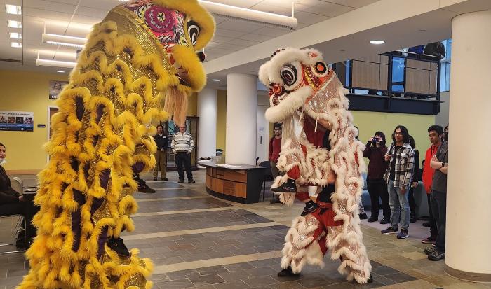 Members of Eternals Lion Dance must work together to keep movements synchronized during performances.
