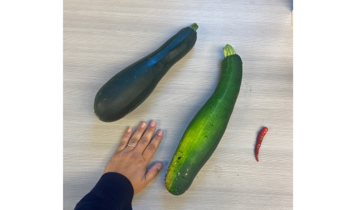 It's easy to get your daily greens with giant zucchinis from PTK's Greenhouse!