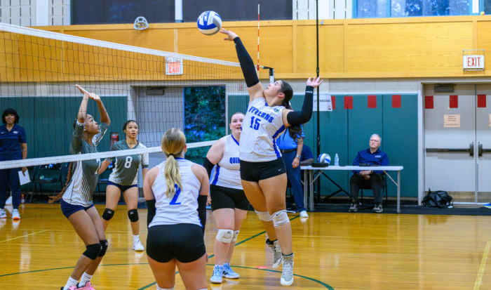 The QCC Women's Volleyball game against Massasoit Community College