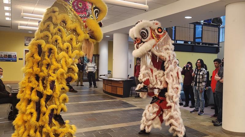 Members of Eternals Lion Dance must work together to keep movements synchronized during performances.