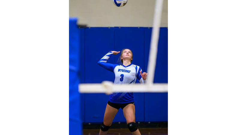 Cheer on the Wyverns at a volleyball, baseball, or soccer game!