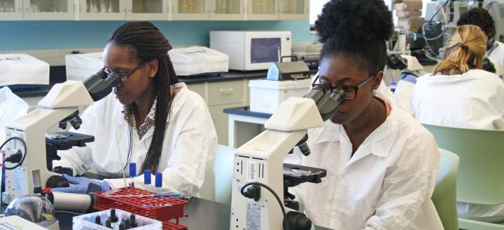 QCC students in a biology classroom use microscopes